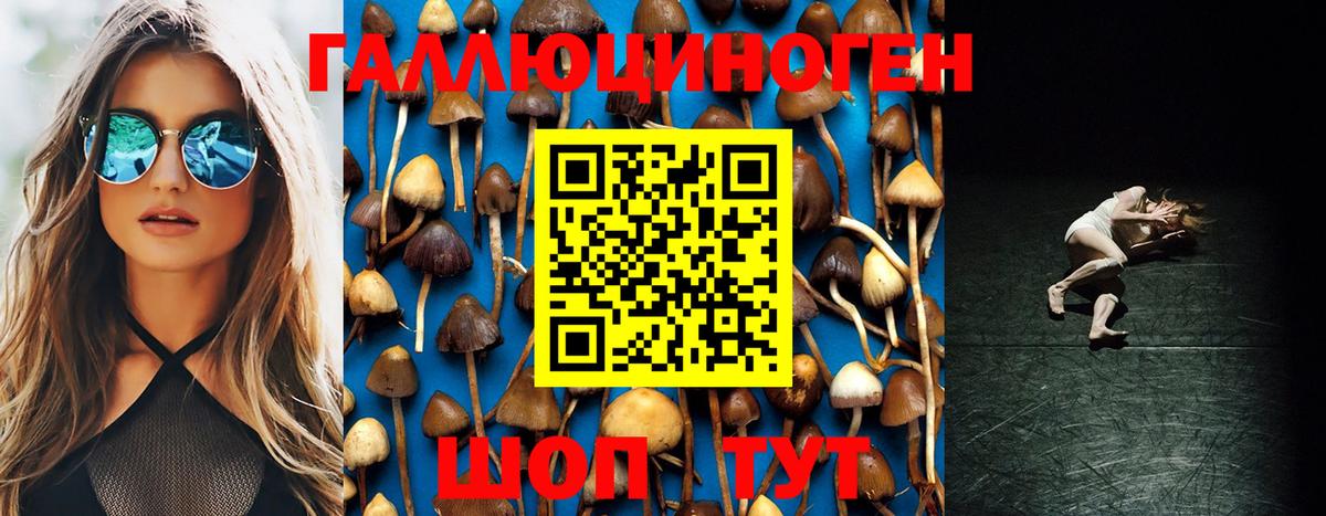 Галлюциногенные грибы Psilocybine cubensis  Вход с VPN  Старая Купавна 